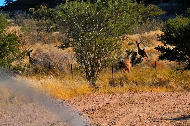 Namibia